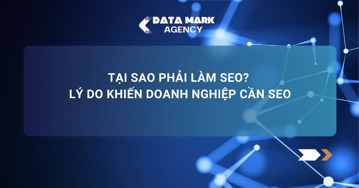 Tại Sao Phải Làm Seo Lý Do Khiến Doanh Nghiệp Cần Seo